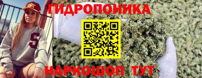 spice Бугуруслан